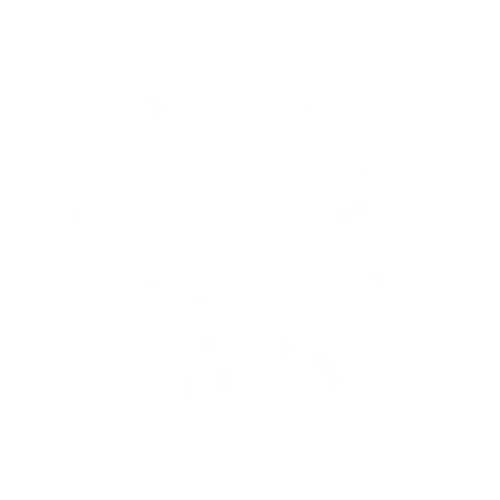 Communication animale